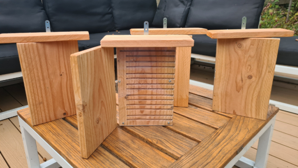 20250908_192744 klein